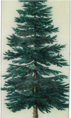 Christmas Tree Clipart (640x480), Png Download