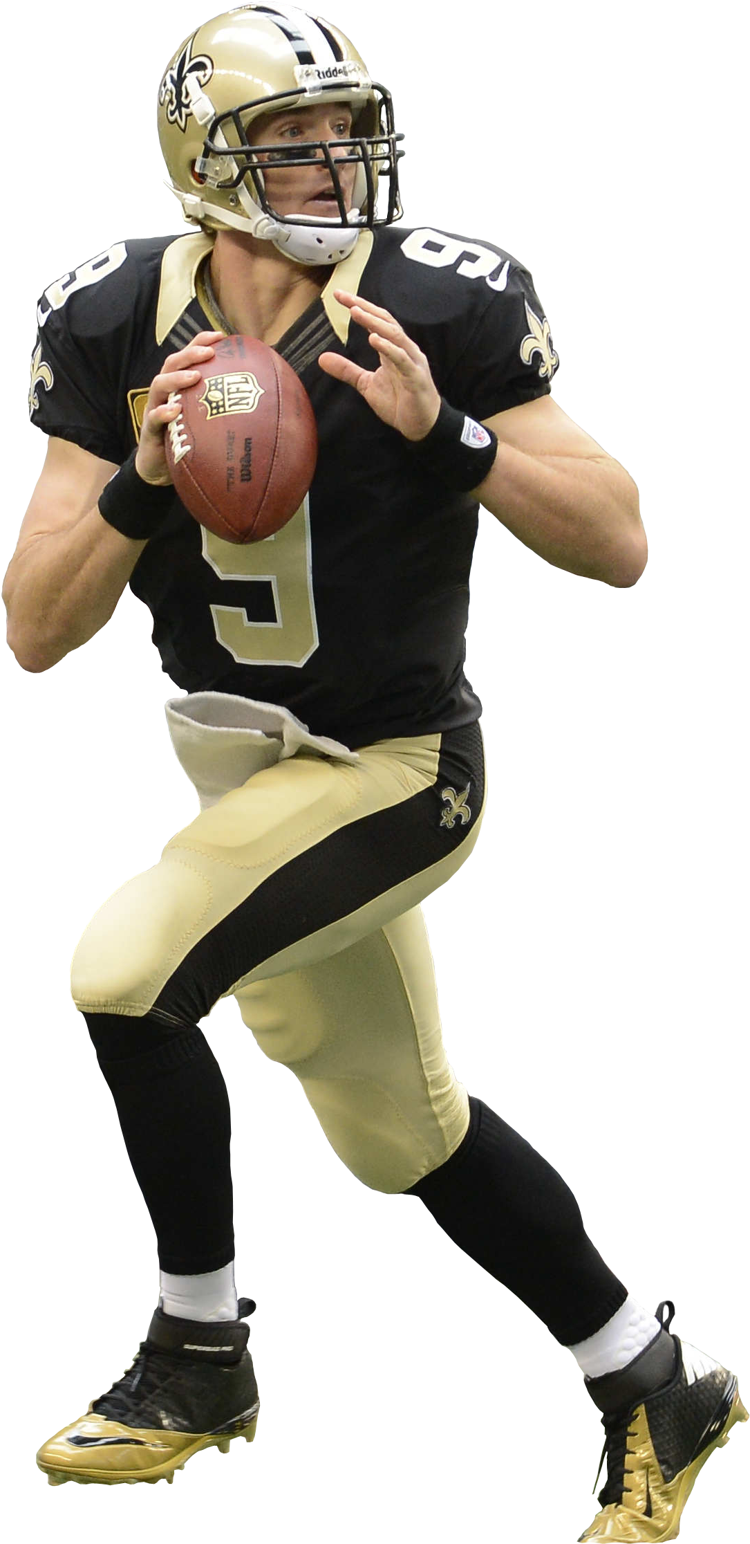 Http - //www - Neworleanstimelapse - Com/wp Orleans - New Orleans Saints Png Clipart (1656x2440), Png Download