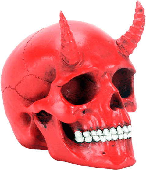 Skull Clipart (555x555), Png Download