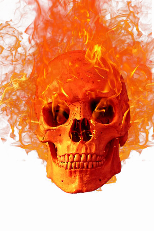 Halloween Skull Png Photo - Fire Skull Png Clipart (650x976), Png Download