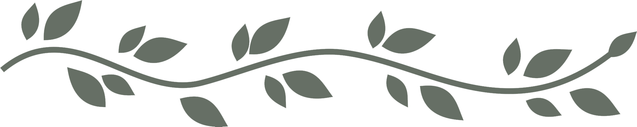 Leaf Divider Png - Leaves Divider Png White Clipart (2059x413), Png Download
