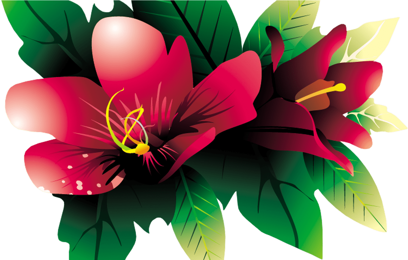 Images Of Tropical Flower Vines For Free Download On Clipart (1344x856), Png Download