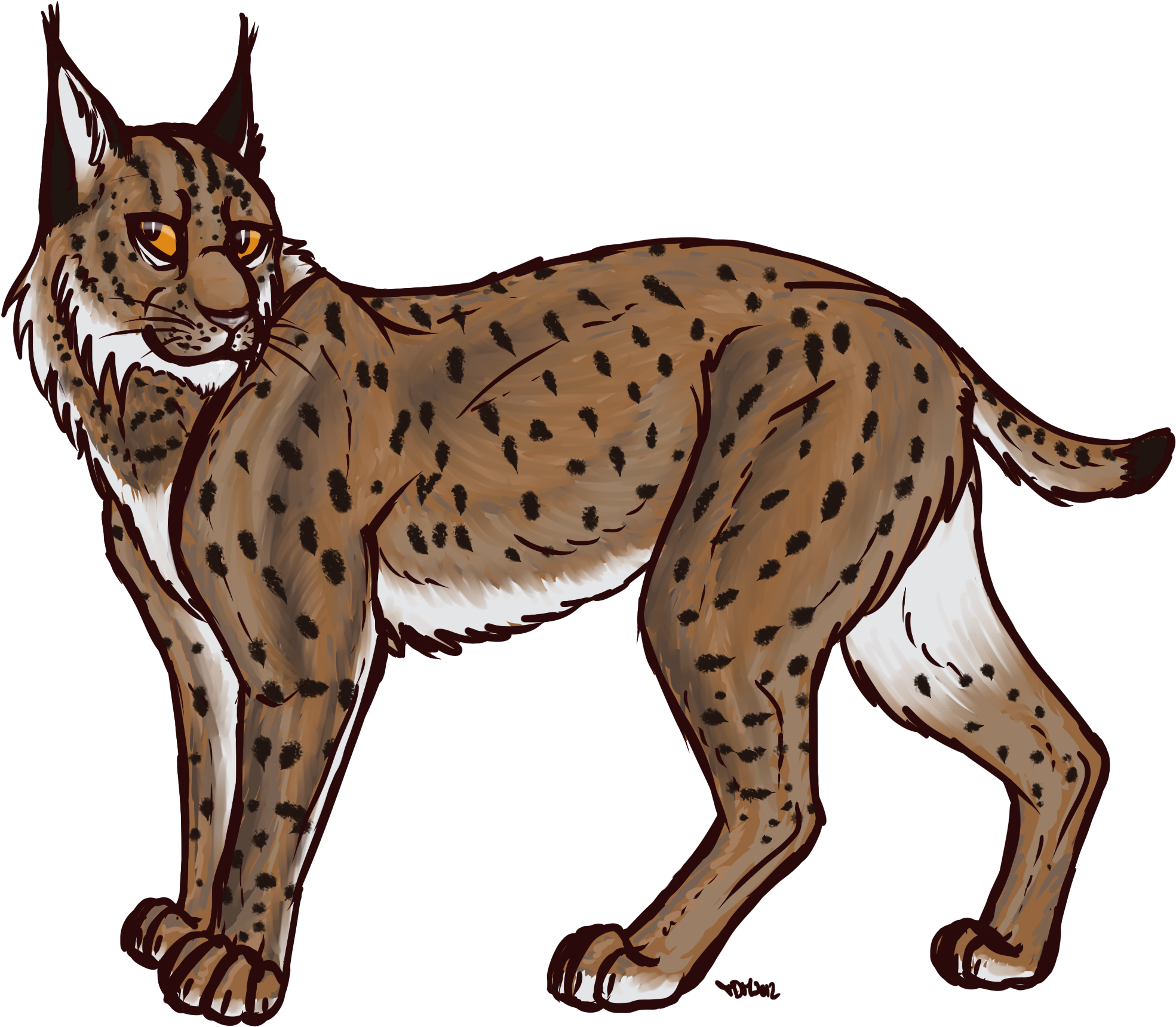 Lynx Transparent - Lynx Png Clipart (2400x1800), Png Download