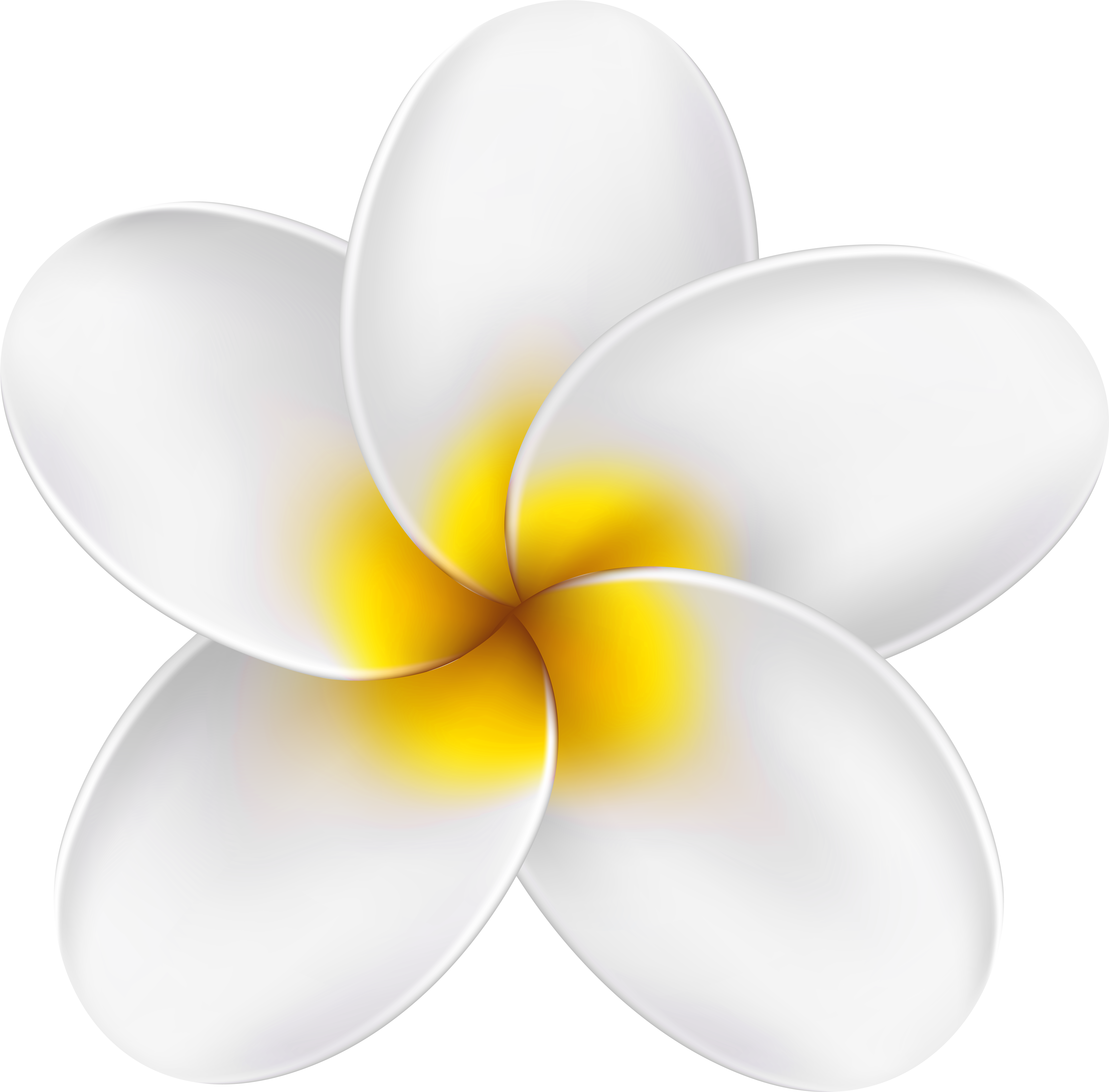 0, - Frangipani Clipart (600x592), Png Download