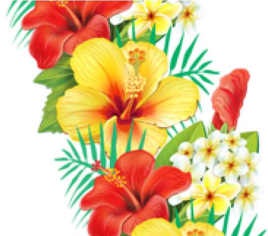 Tropical Clipart Exotic Flower - Hawaiian Tropical Flower Transparent - Png Download (640x480), Png Download