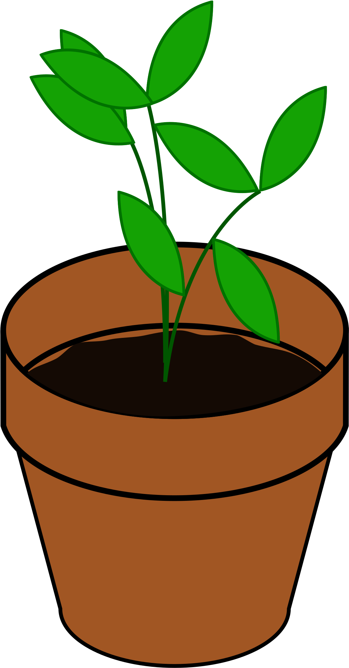 1536 X 2400 5 - Cartoon Image Of Plant Clipart (1536x2400), Png Download