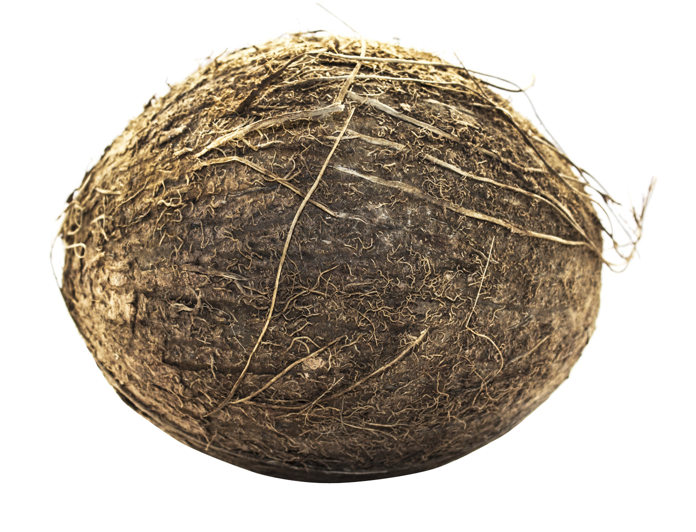 Coconut Png Transparent Image - Hay Clipart (1024x768), Png Download