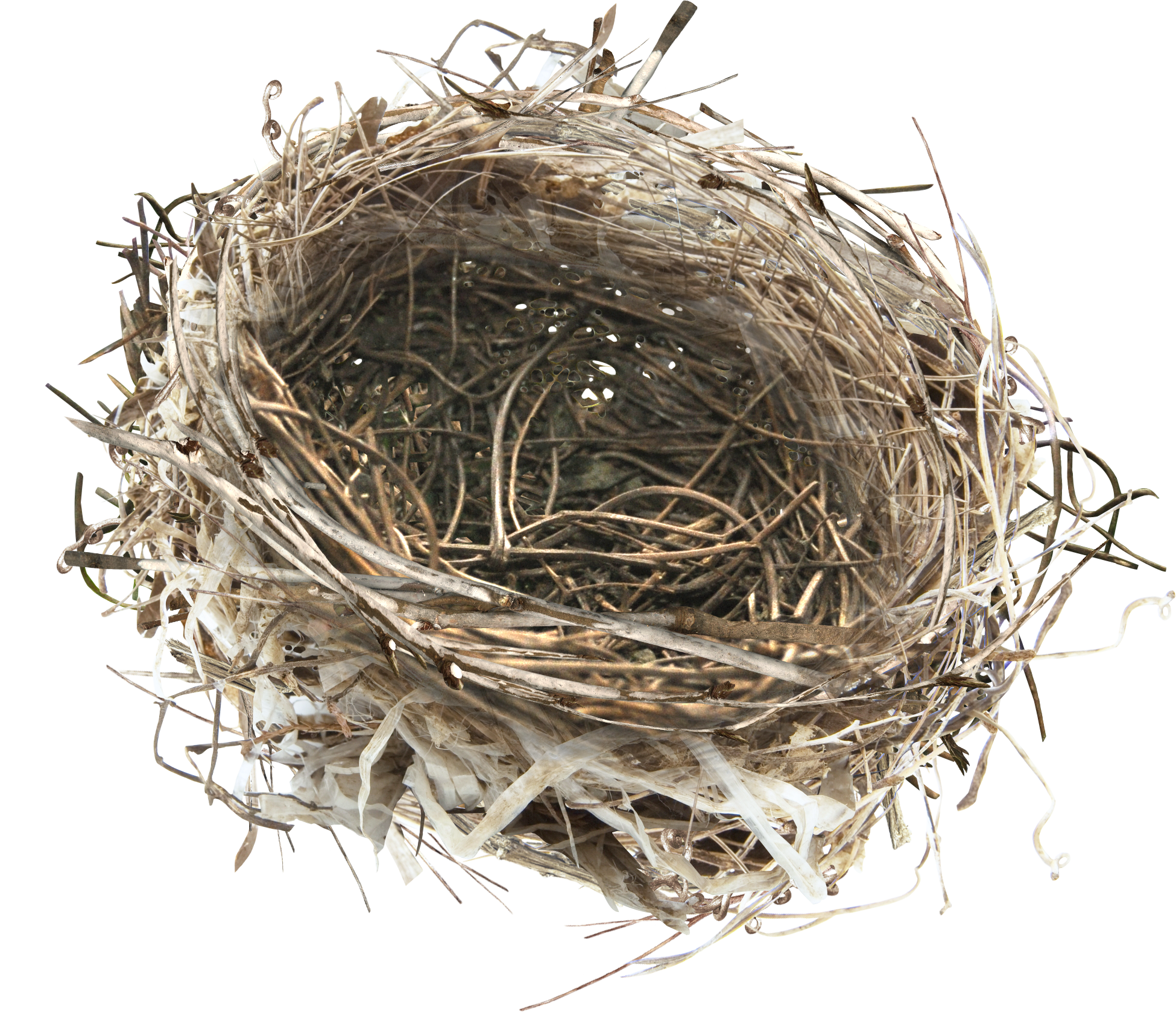 Bird Nest Png Clipart (1950x1679), Png Download