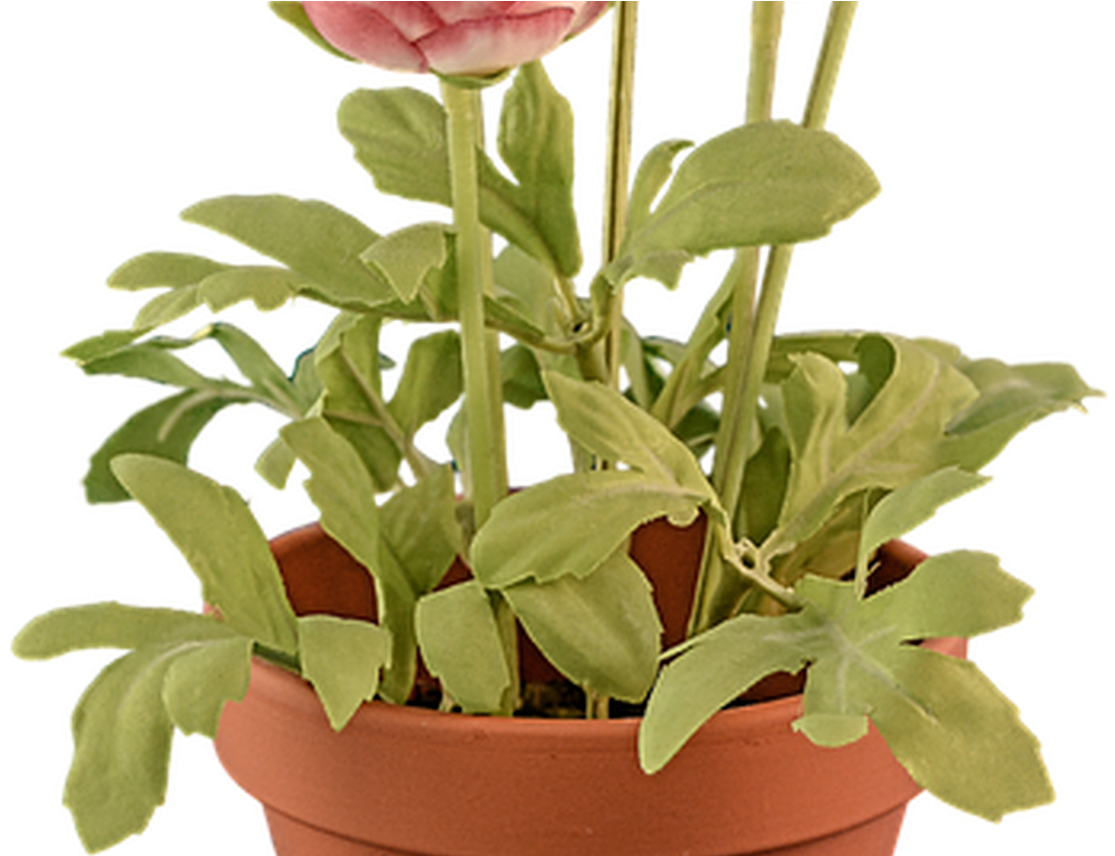 Flower Pot Png Transparent Flower Potpng Images Pluspng - Flowerpot Clipart (1368x855), Png Download