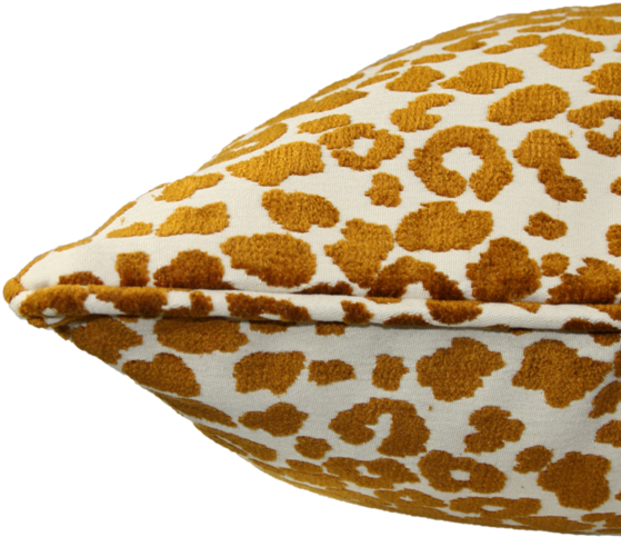 Giraffidae Clipart (600x600), Png Download