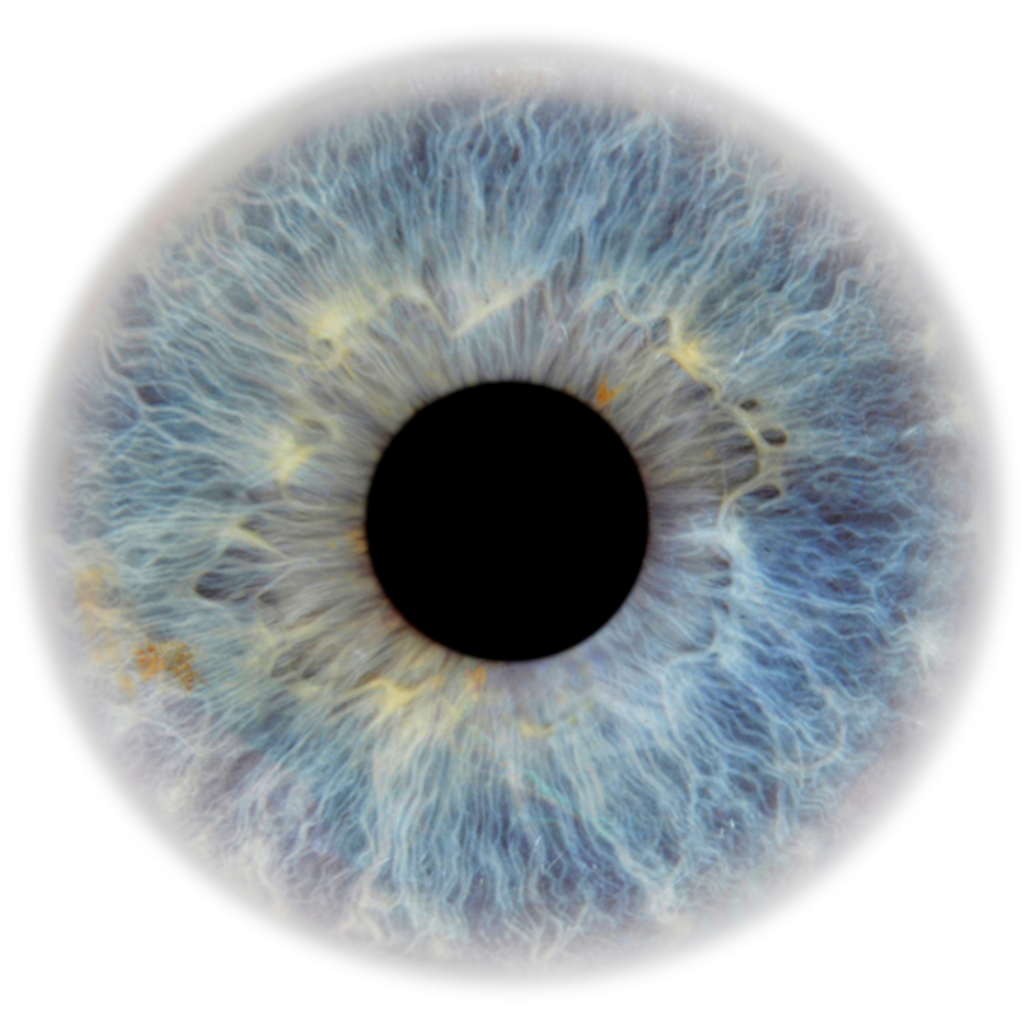 1024 X 1024 13 - Eye Color Transparent Background Clipart (1024x1024), Png Download