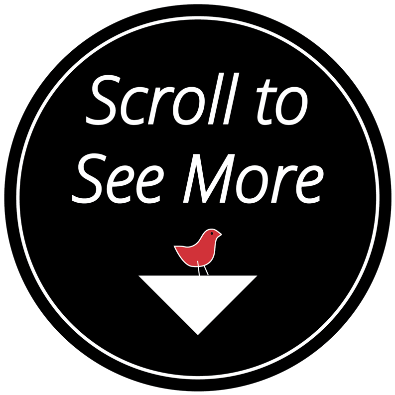 Download Picture List - Circle Clipart (1499x847), Png Download