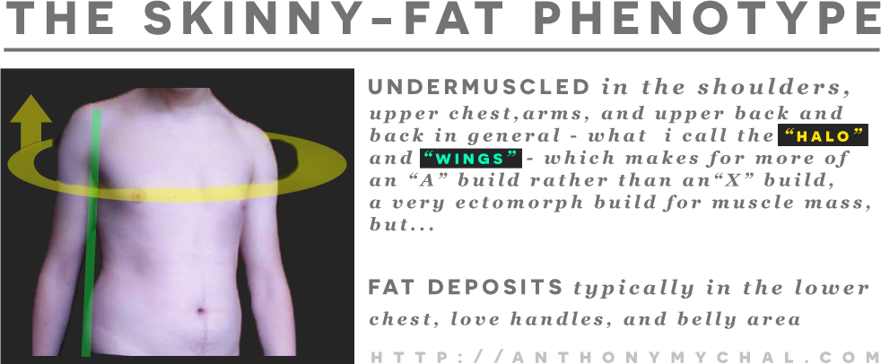 What Is A Skinny-fat Ectomorph - Skinny Fat Characteristics Clipart (982x406), Png Download