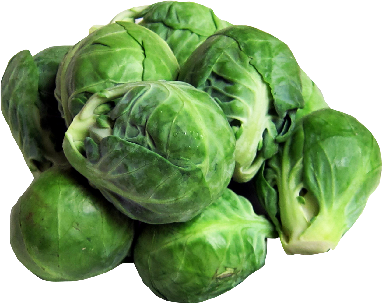 Brussels Sprouts Png Image - Brussel Sprouts Clip Art Free Transparent Png (1447x1100), Png Download
