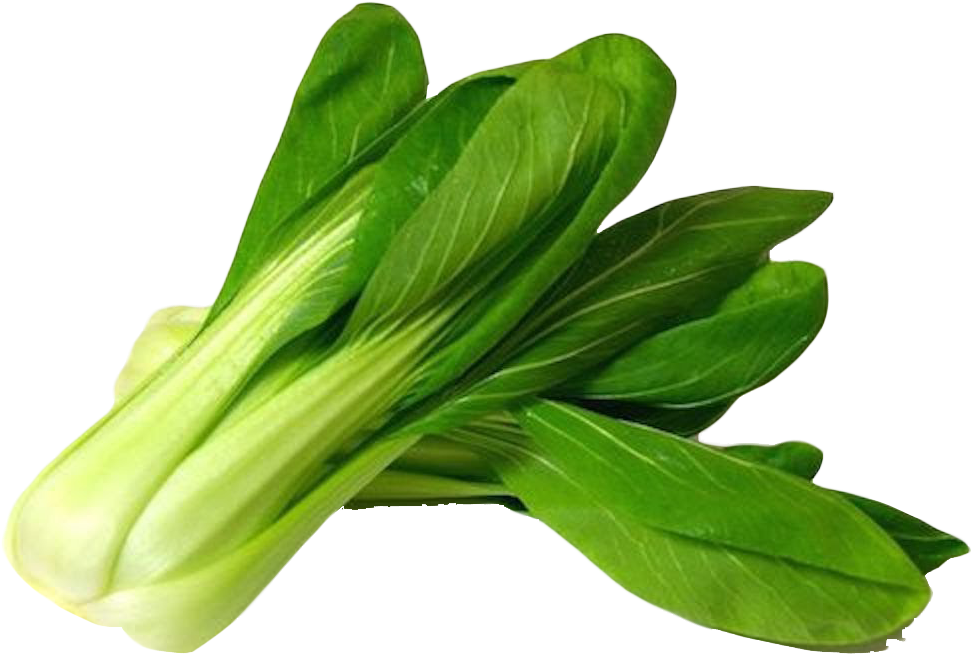 Bok Choy Vegetable Transparent - Bok Choy Png Clipart (1041x720), Png Download