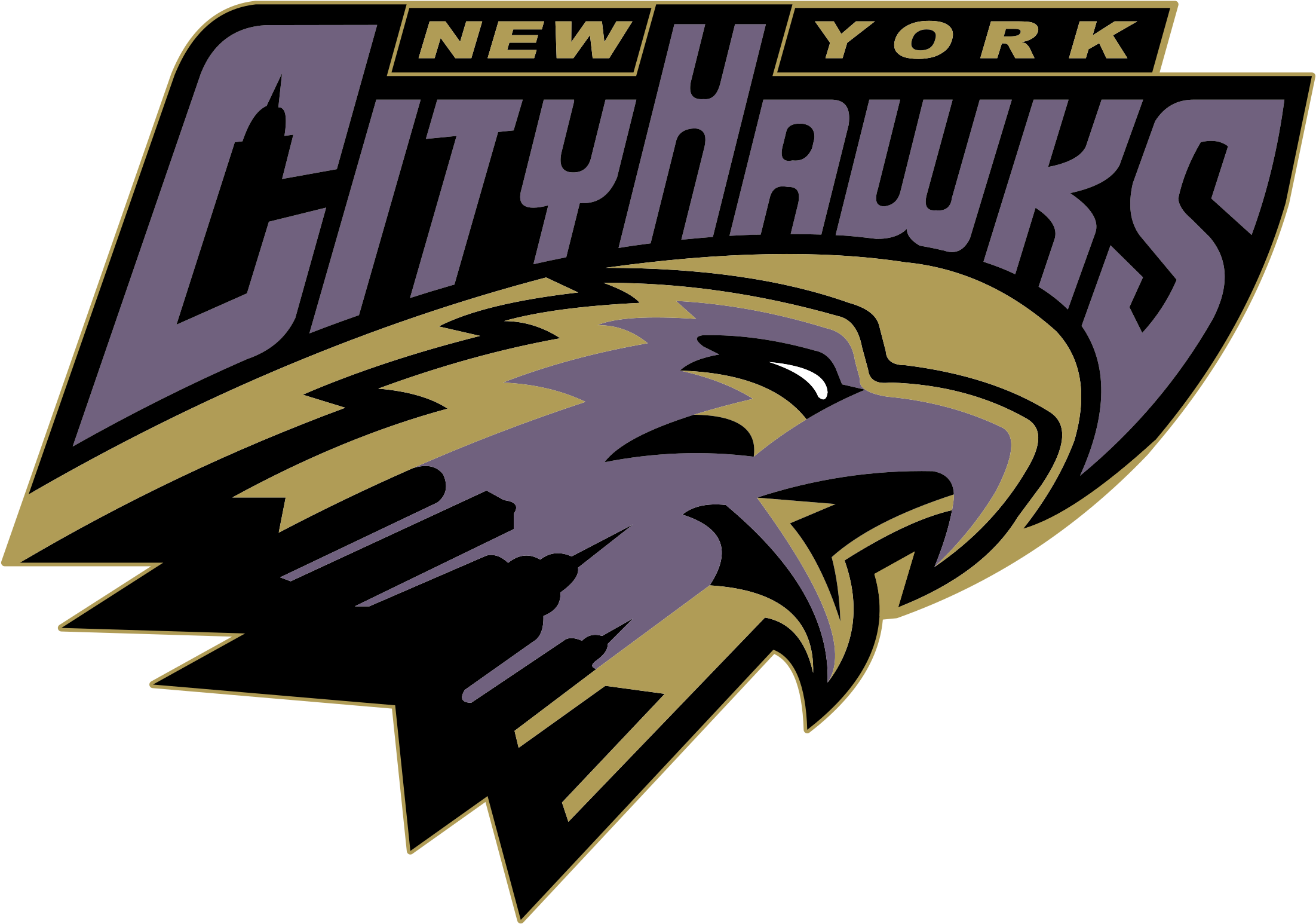 New York City Hawks Logo Png Transparent - Graphic Design Clipart (2400x2400), Png Download