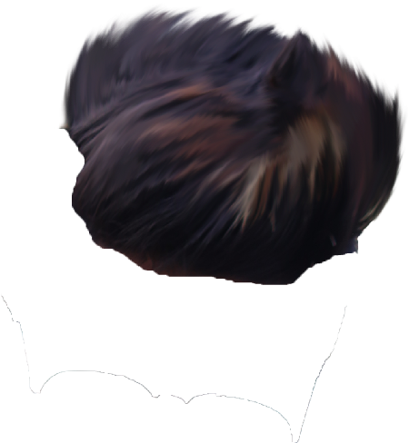 Hair Png ➤ Download - Lace Wig Clipart (873x768), Png Download