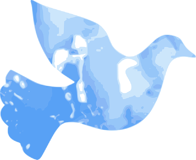 Holy Spirit Course - Blue Dove Clip Art - Png Download (800x655), Png Download