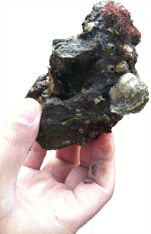 Igneous Rock Clipart (623x966), Png Download