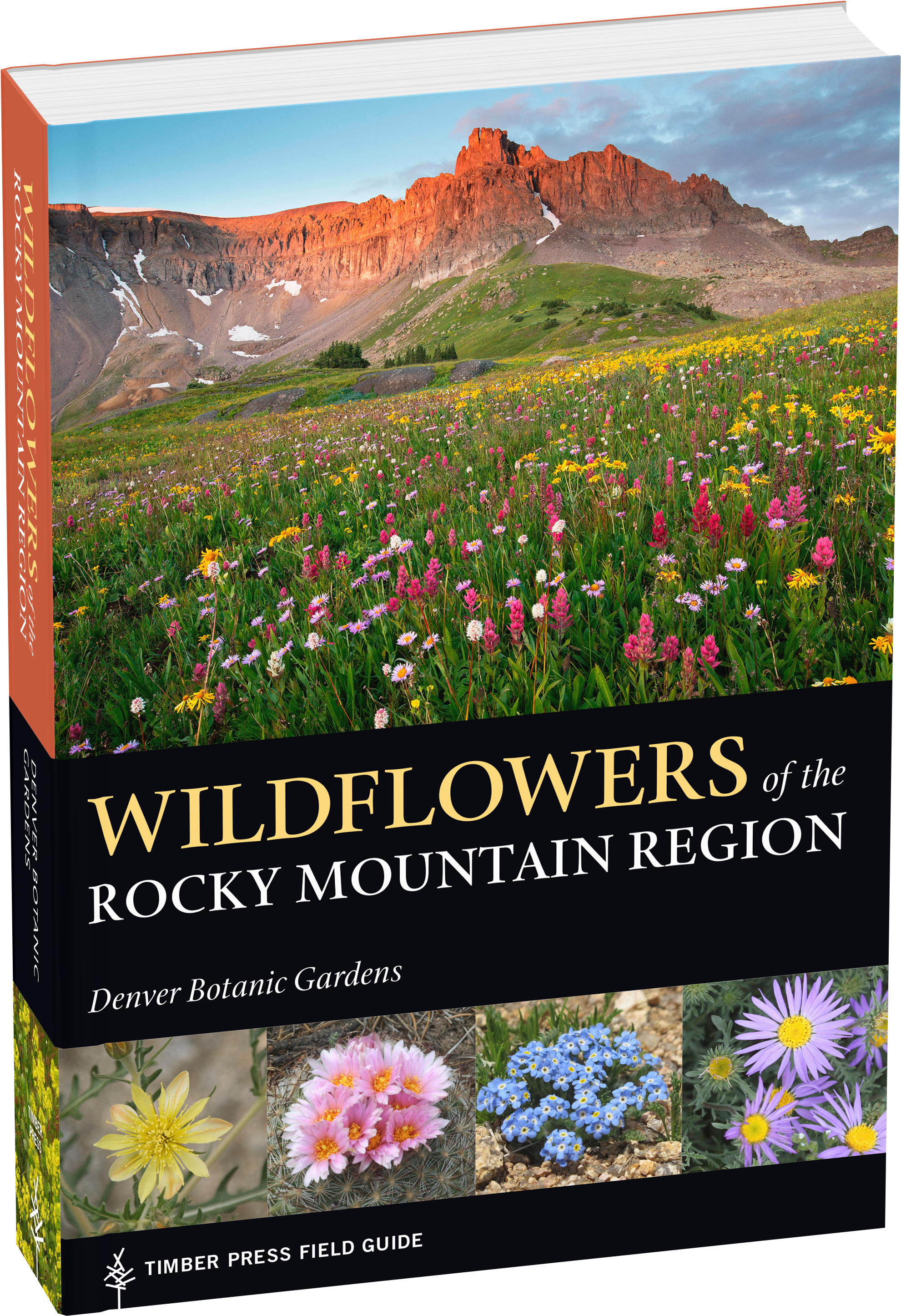 Mountain Wildflowers Clipart (2000x2920), Png Download