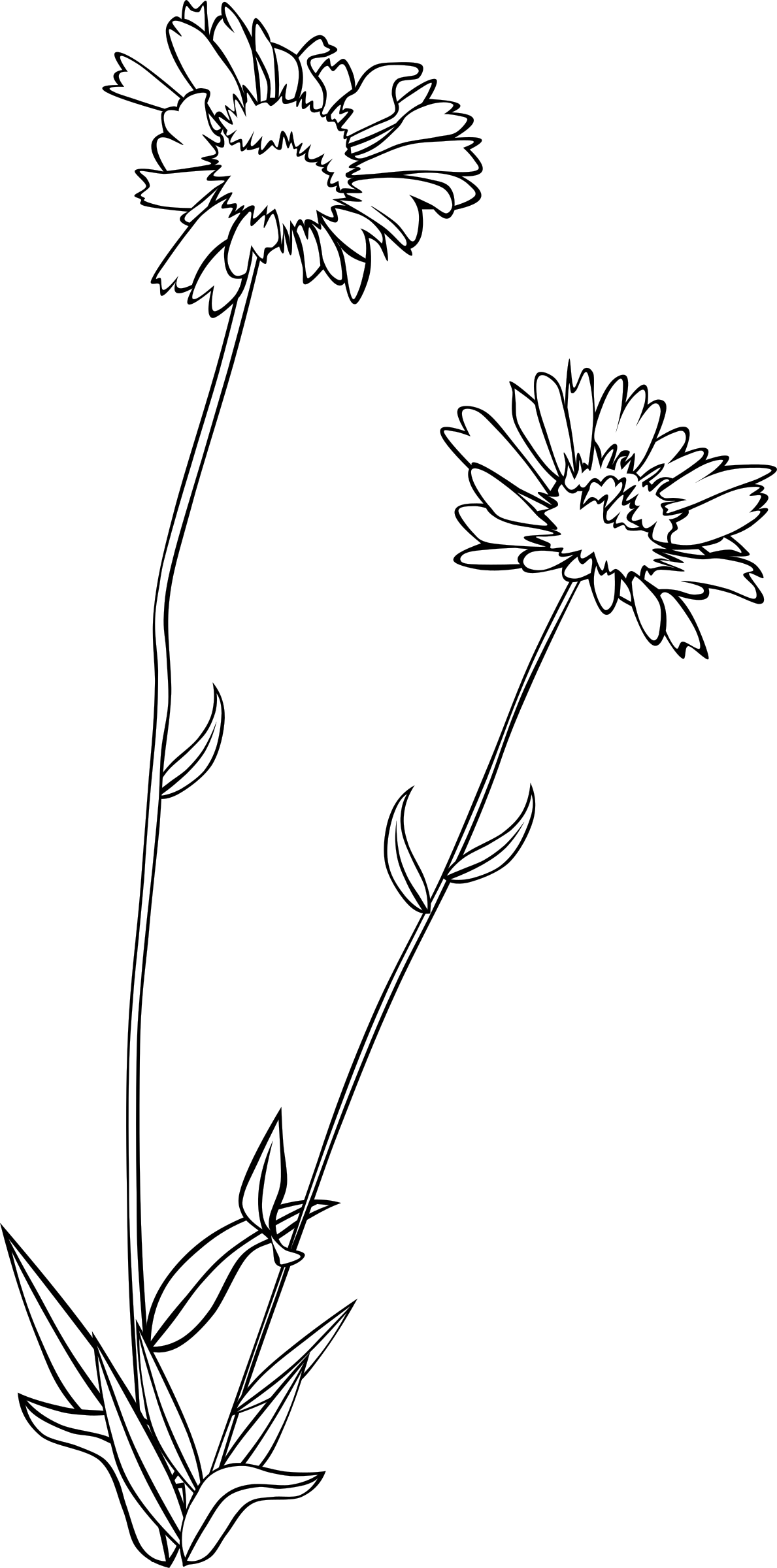 Big Image - Black And White Wildflower Clipart (1189x2400), Png Download