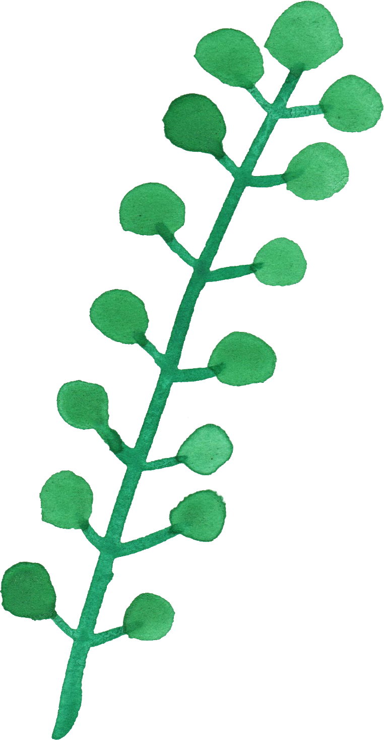 Free Download - Transparent Leaf Watercolor Png Clipart (762x1467), Png Download