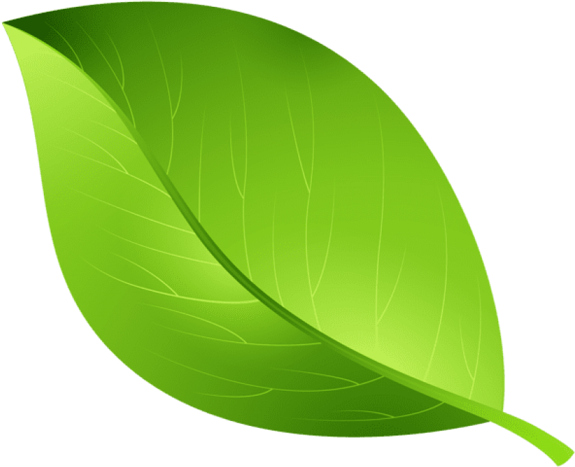 Free Png Download Green Leaf Transparent Png Images - Leaf Clipart Transparent Background (850x696), Png Download