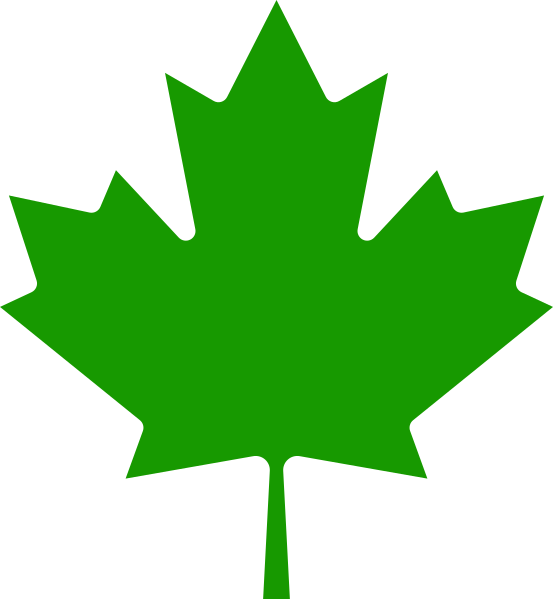 Aaevp Leaf - Canadian Maple Leaf Clipart (553x599), Png Download