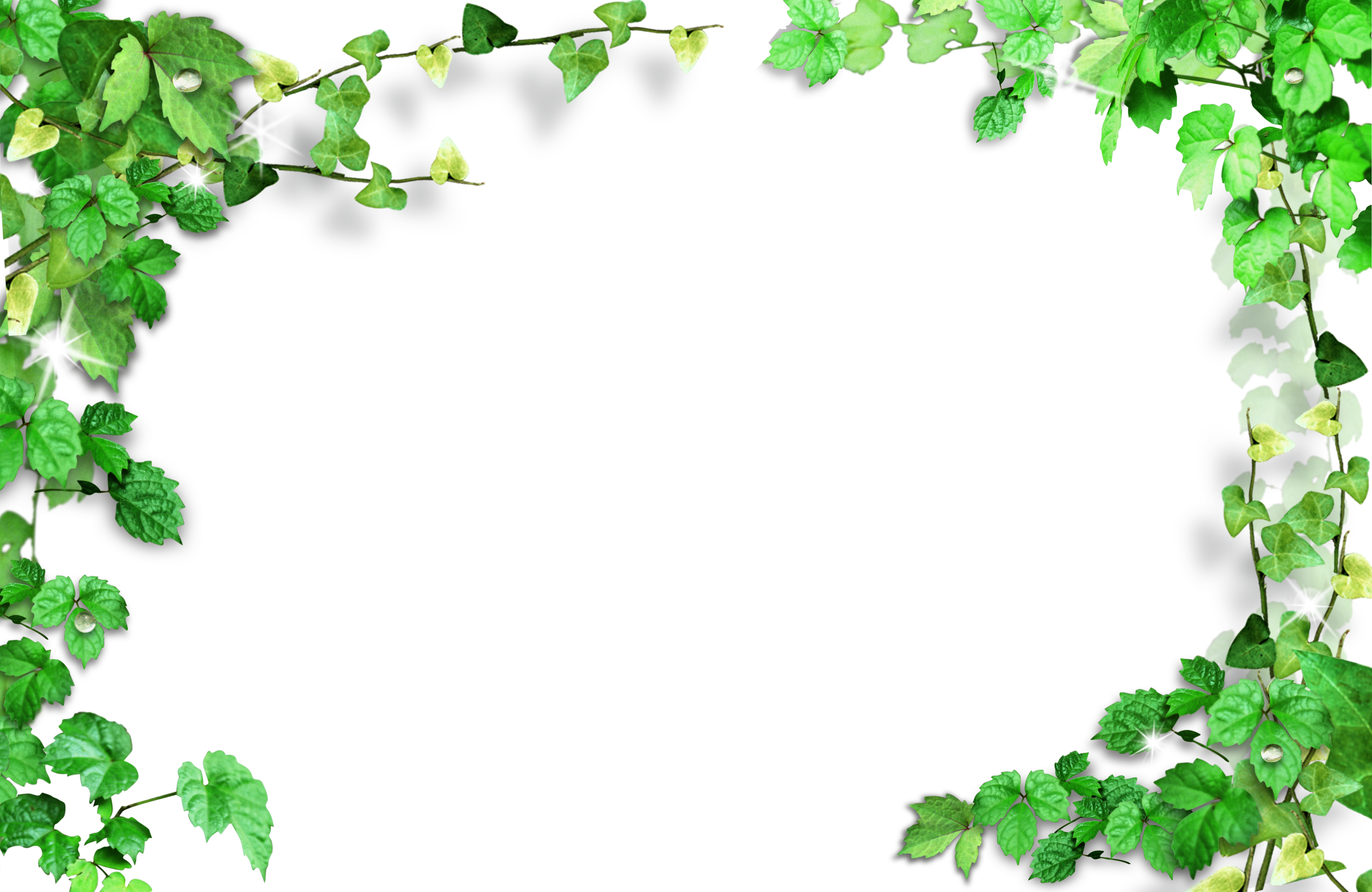 Background Frame Green Png Clipart (4000x2600), Png Download