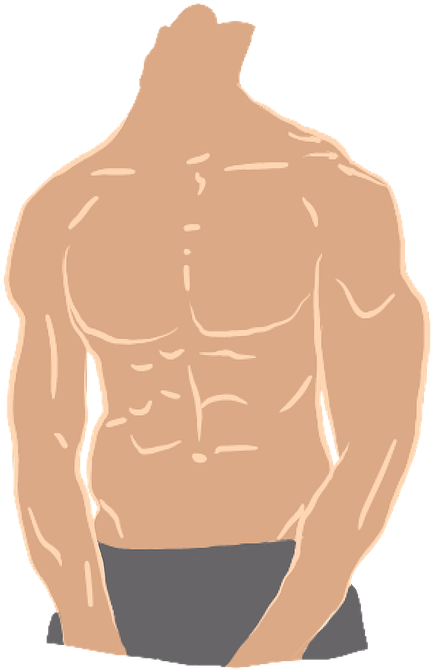Body, Man, Strong, Strength, Mannequin, Model - Strong Body Transparent Clipart (509x720), Png Download