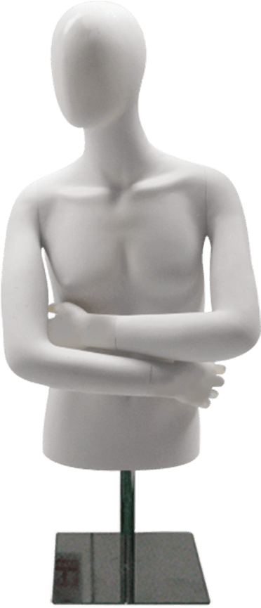 Md M1027 Male Measurements Half Mannequin Png Clipart Large Size Png Image Pikpng