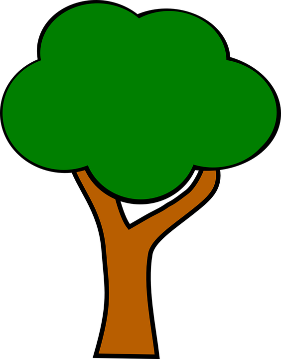 Apple Tree Without Apples - Apple Tree Clipart - Png Download (564x720), Png Download