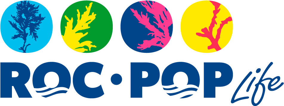 Rocpop-life Project - Emblem Clipart (1000x380), Png Download