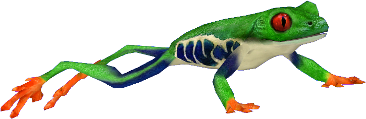 Red-eyed Tree Frog Clipart (724x724), Png Download