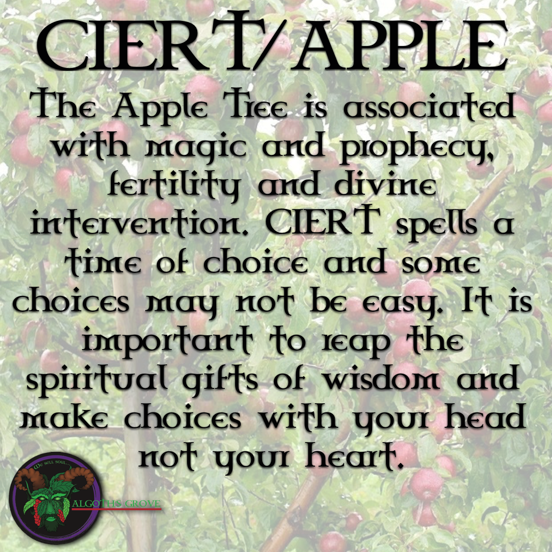 Apple Tree - Poster Clipart (1080x1080), Png Download