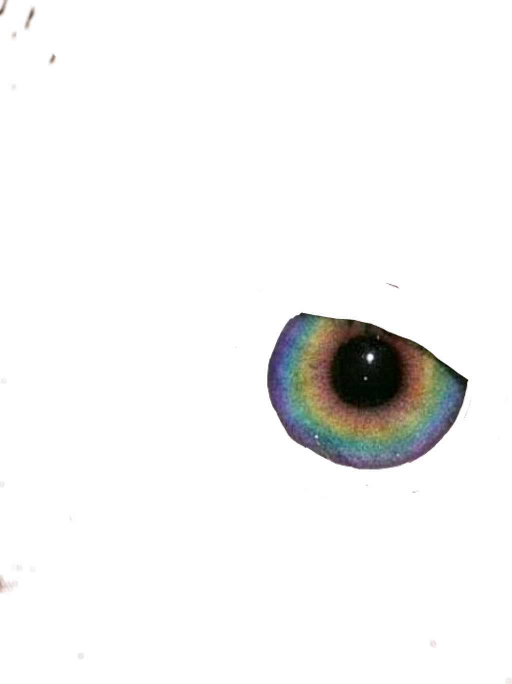 Report Abuse - Macro Photography Clipart (1024x1367), Png Download