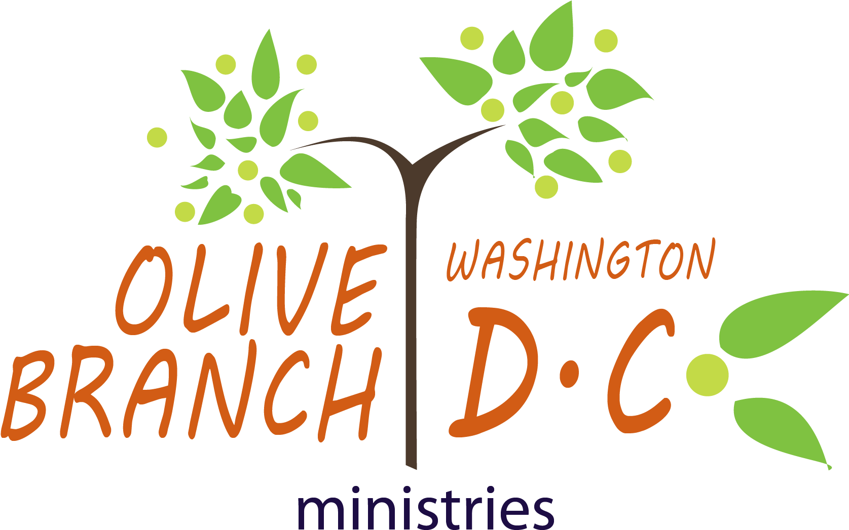 Olive Branch Washington Dc - Illustration Clipart (2562x1077), Png Download