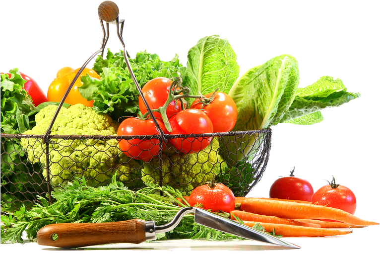 Veggie Garden Png - Vegetales Png Clipart (900x600), Png Download