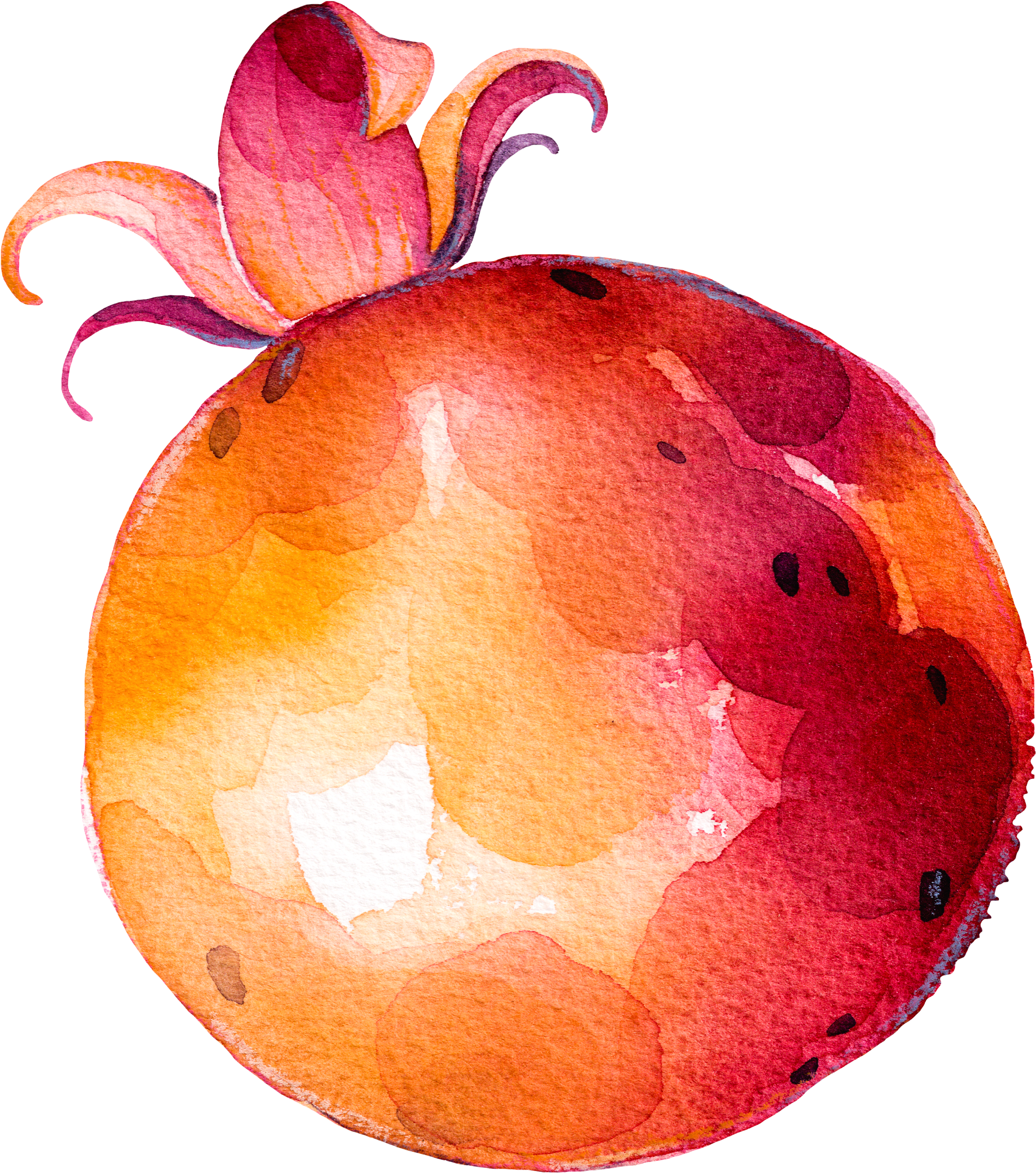 Fruit Vegetable Drawing Clipart (2651x3002), Png Download
