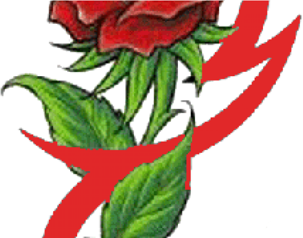 Small Colour Rose Tattoo Design Clipart (640x480), Png Download