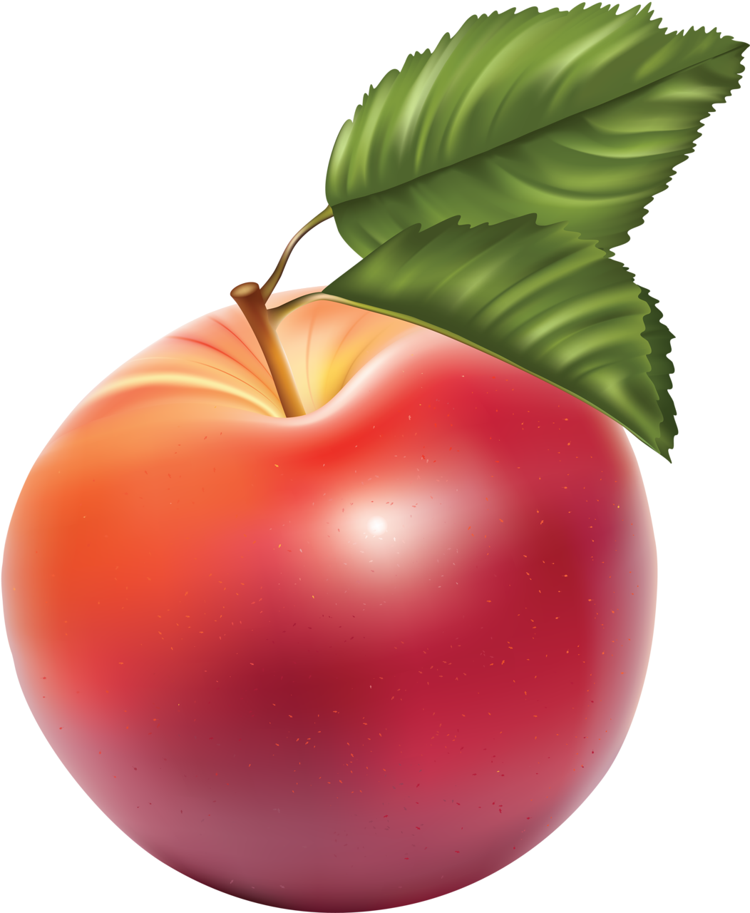 Фотки Apple Images, Flower Pictures, Png Photo, Fruits - Яблоко Пнг Clipart (1052x1280), Png Download