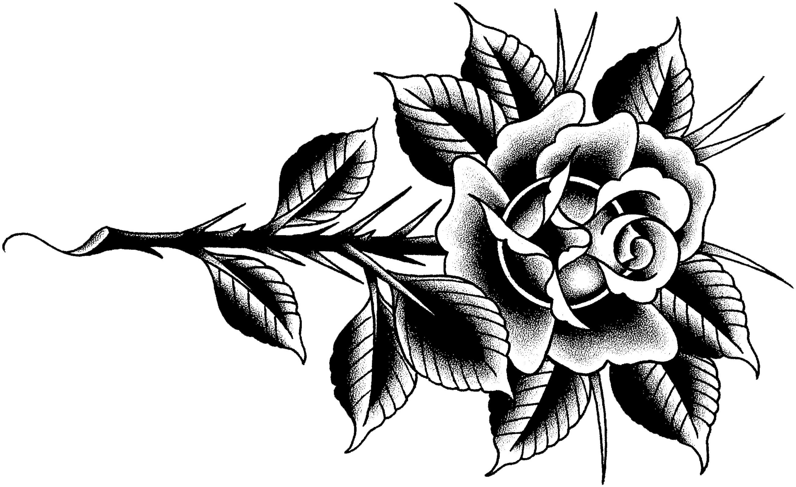 Tattoo - Floribunda Clipart (2685x1647), Png Download