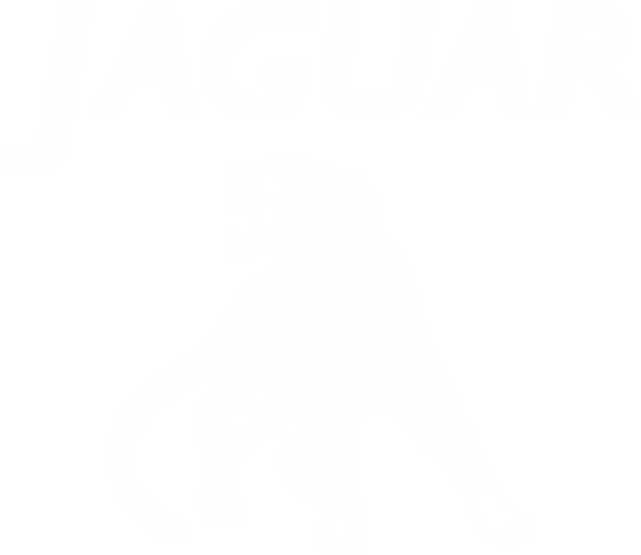 Jaguar - Illustration Clipart (601x601), Png Download