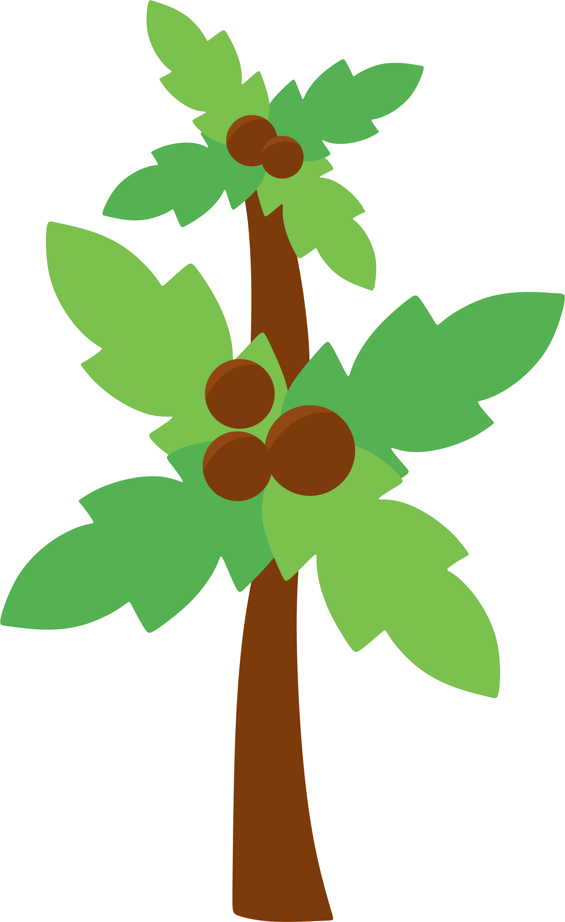 María José Argüeso - Safari Leaf Clipart Png Transparent Png (1901x3101), Png Download