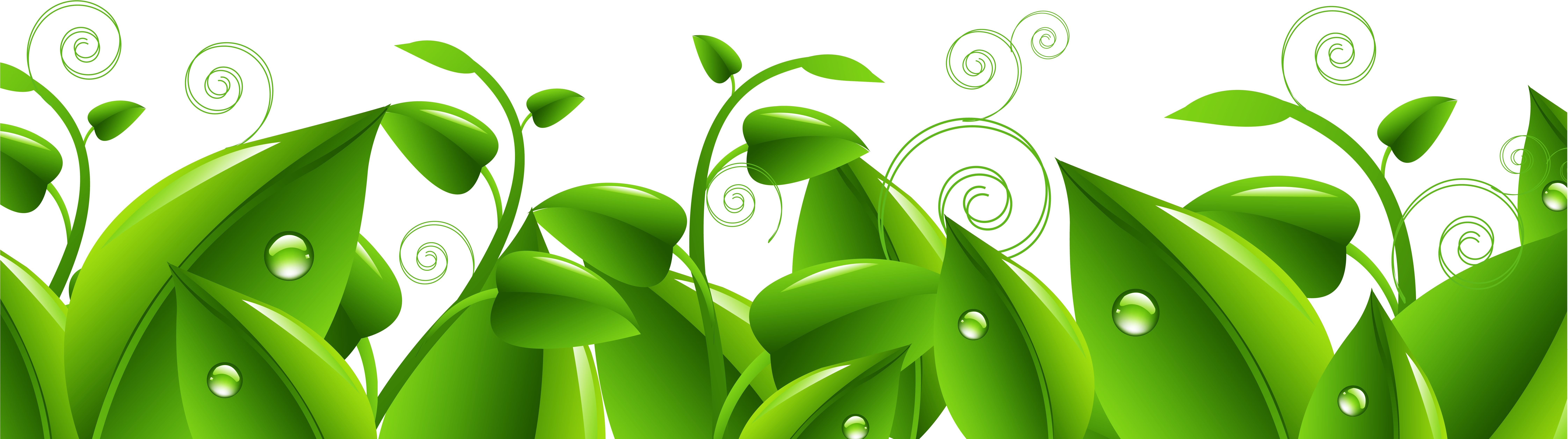 Decorative Leaves Ground Png Clipart Transparent Png (9000x2902), Png Download