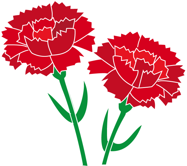 Carnation カーネーション イラスト 無料 Clipart Large Size Png Image Pikpng