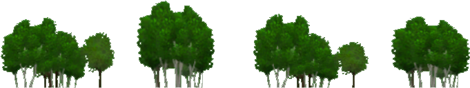 Forest Background Png Clipart (680x680), Png Download