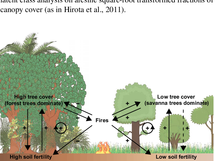 Relations Between Forest Tree Cover, Savanna Tree Cover, - Forest Fire Feedback Loop Clipart (729x547), Png Download