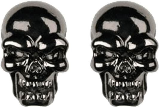 Black Skull Head Stud Earrings - Skull Clipart (555x555), Png Download
