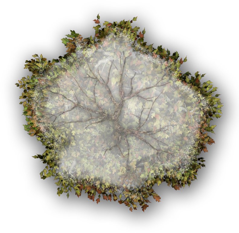 24 Mar 2009 - Thorns, Spines, And Prickles Clipart (792x771), Png Download